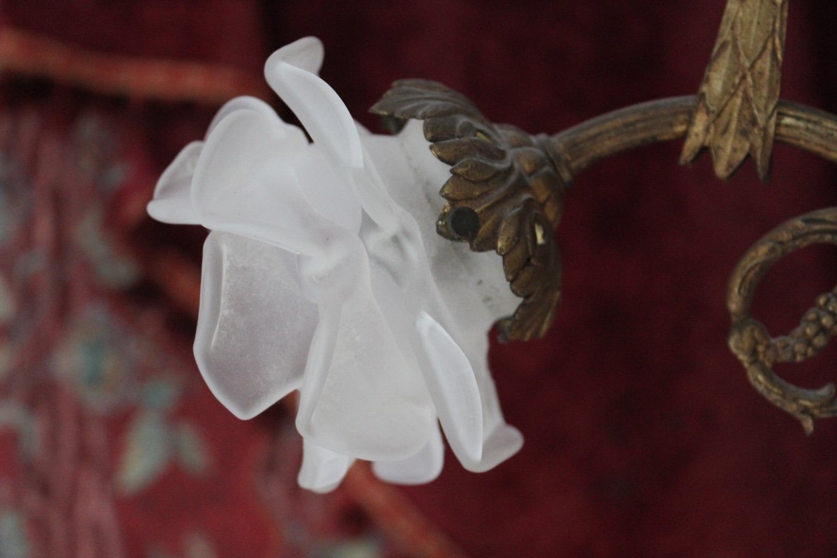 Lustre Napoleon III-photo-1