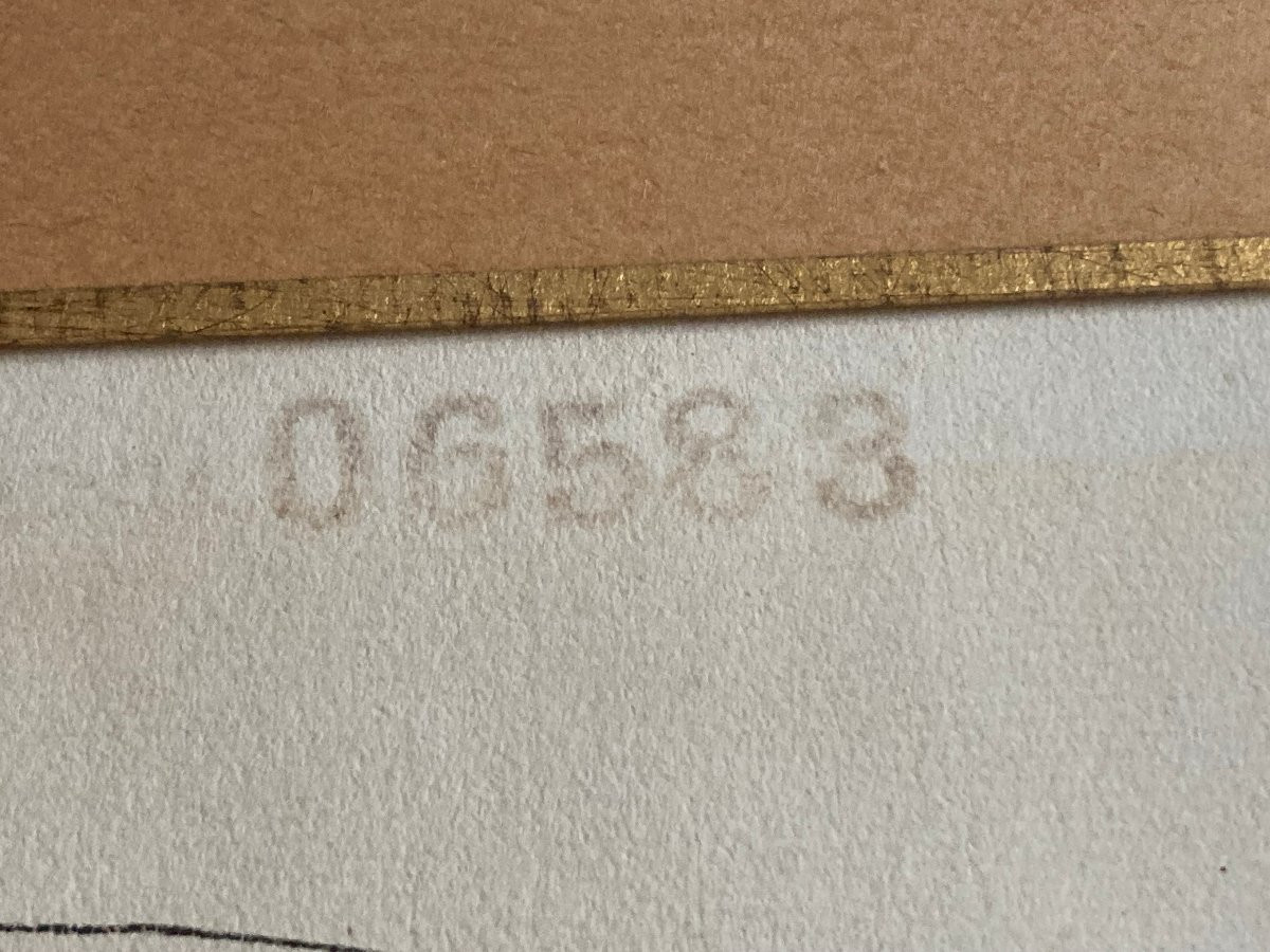 Gabriel Fourmaintraux-photo-3