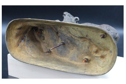 Bélier Mérinos,  Jules Moigniez-photo-4