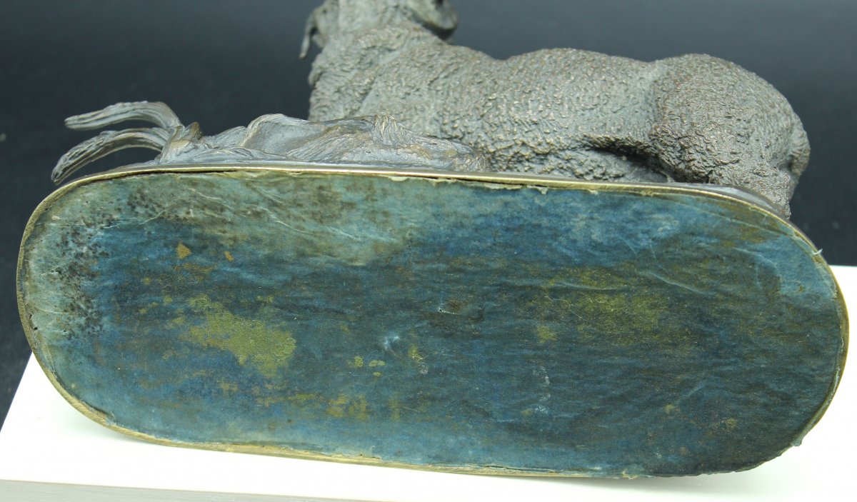 Bélier Mérinos,  Jules Moigniez-photo-1