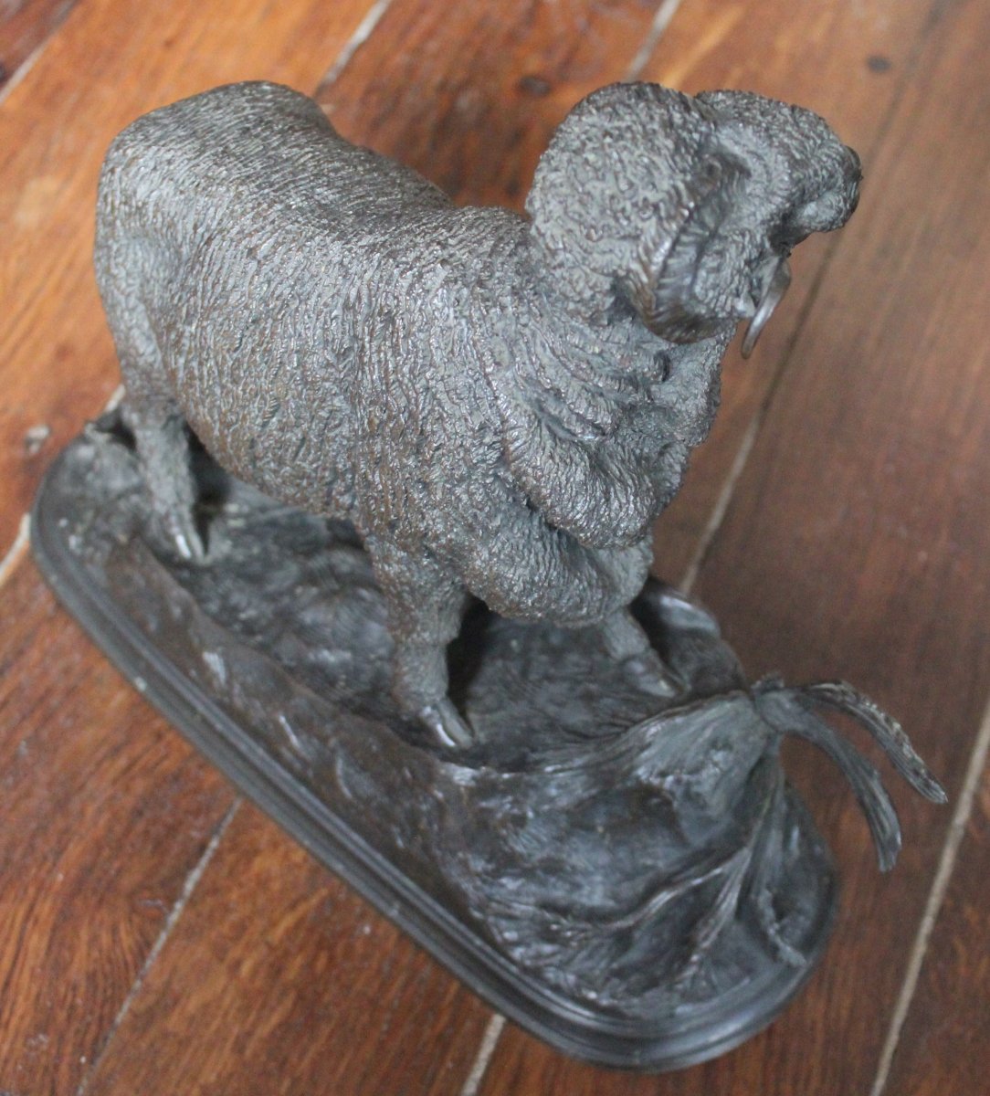 Bélier Mérinos,  Jules Moigniez-photo-2