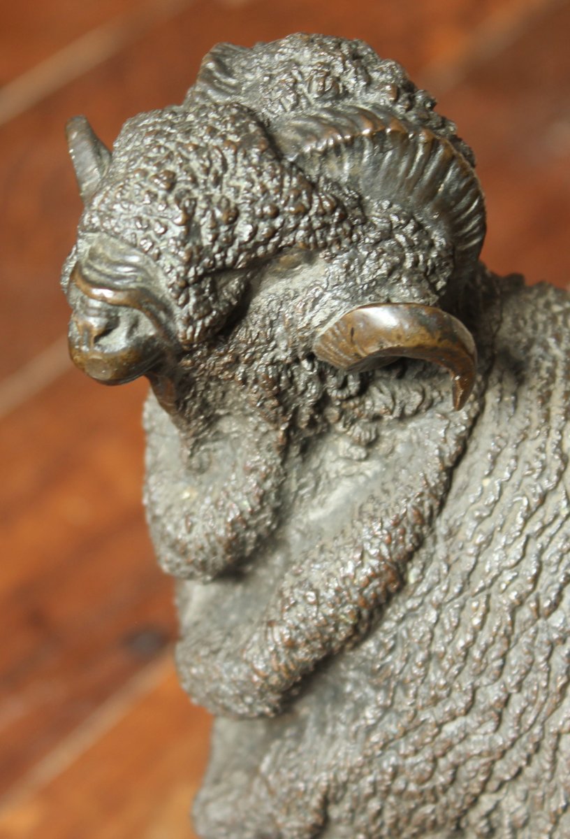 Bélier Mérinos,  Jules Moigniez-photo-3