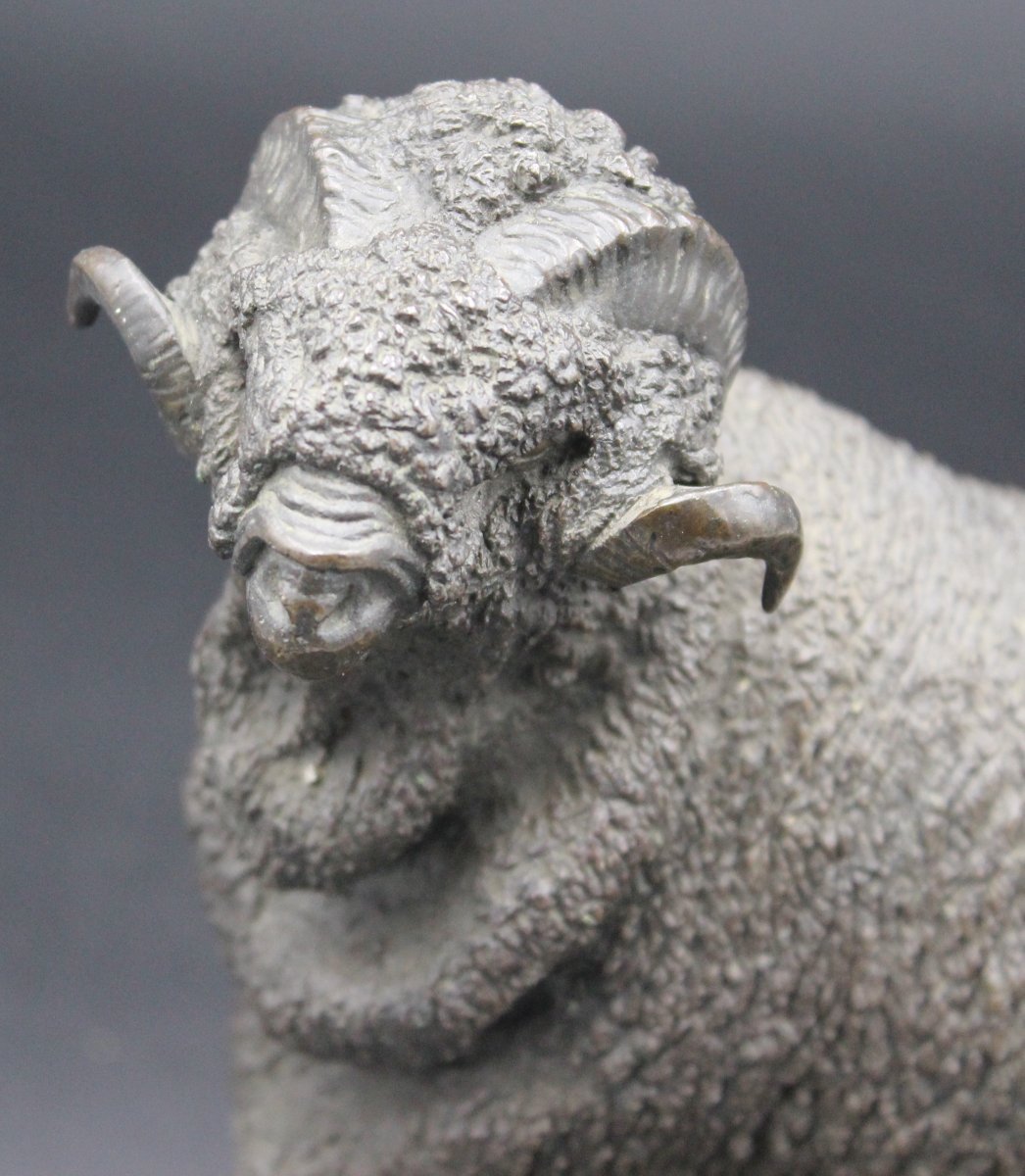 Bélier Mérinos,  Jules Moigniez