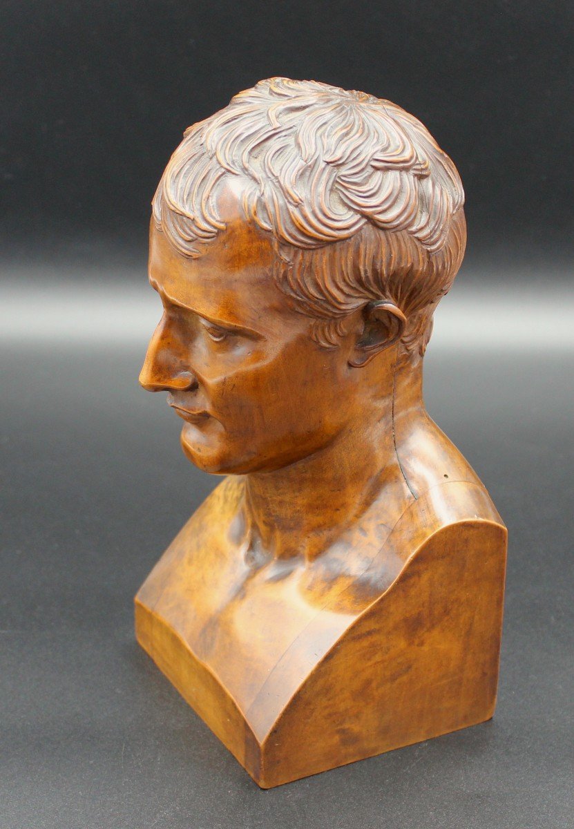 Napoléon Bonaparte-photo-1
