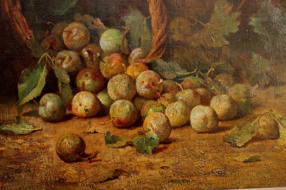 Still Life With Plums