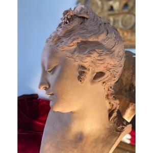 Buste en terre cuite