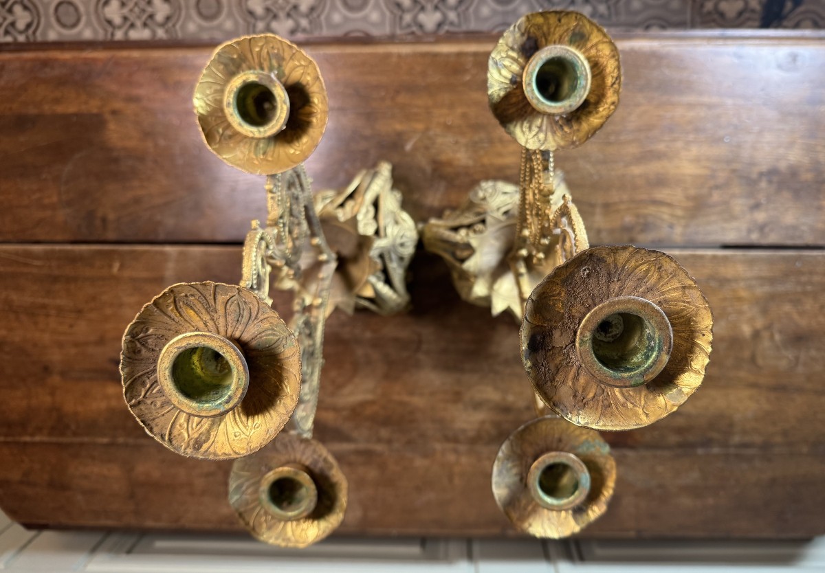 Paire De Chandeliers à Cinq Lumières - XIXe-photo-3