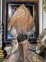 1830987-alb-6abf5e666db61.jpg