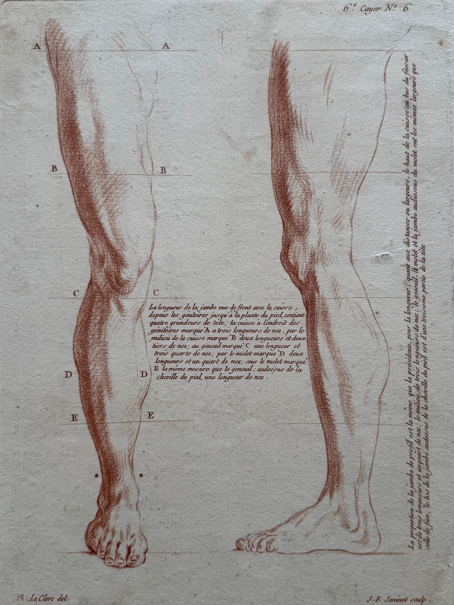 Leg Study. C.1773