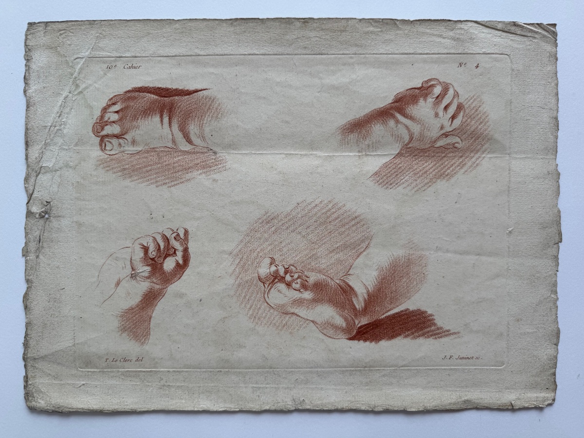 Étude d'anatomie. c.1773-photo-2