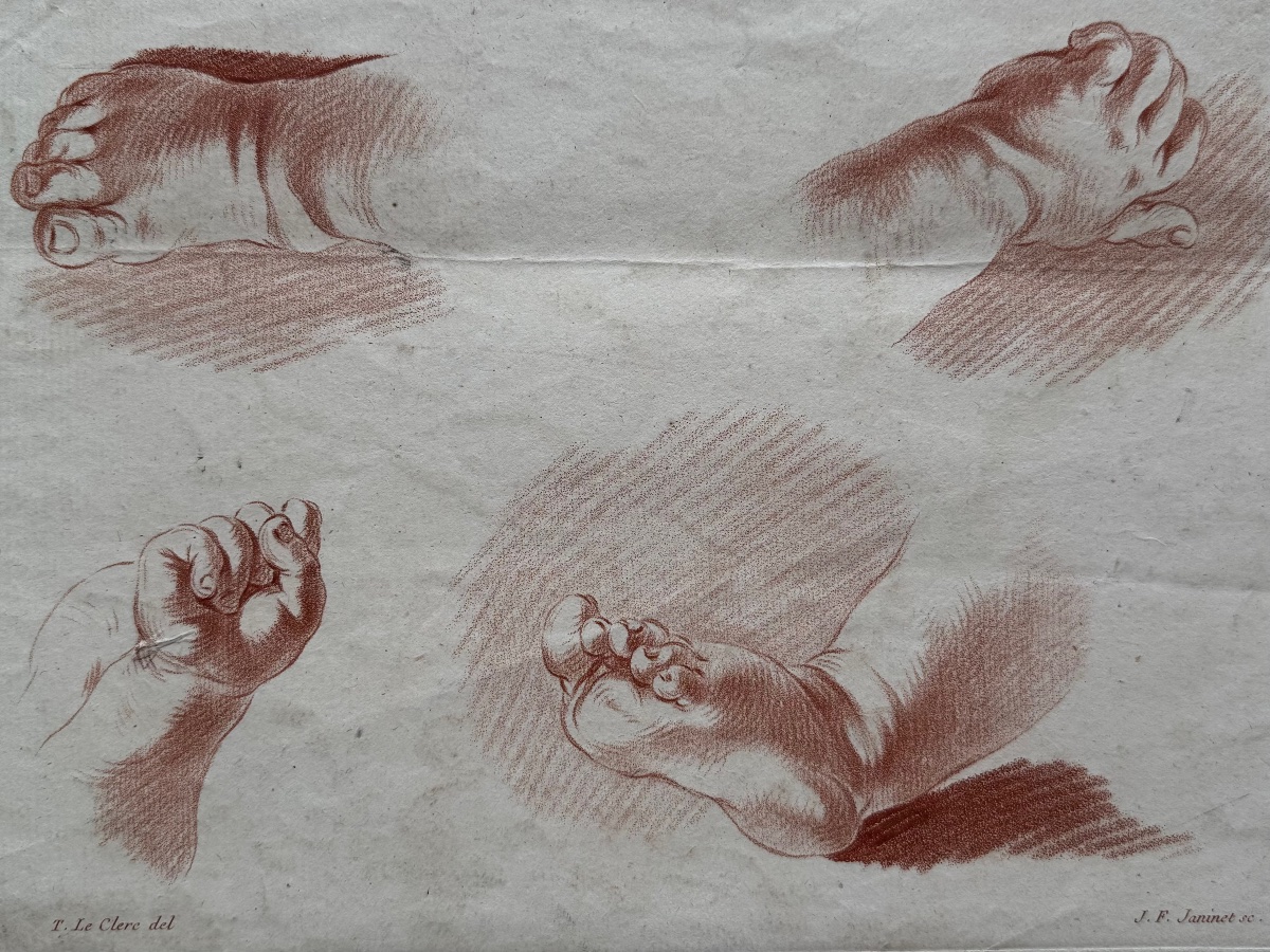 Étude d'anatomie. c.1773