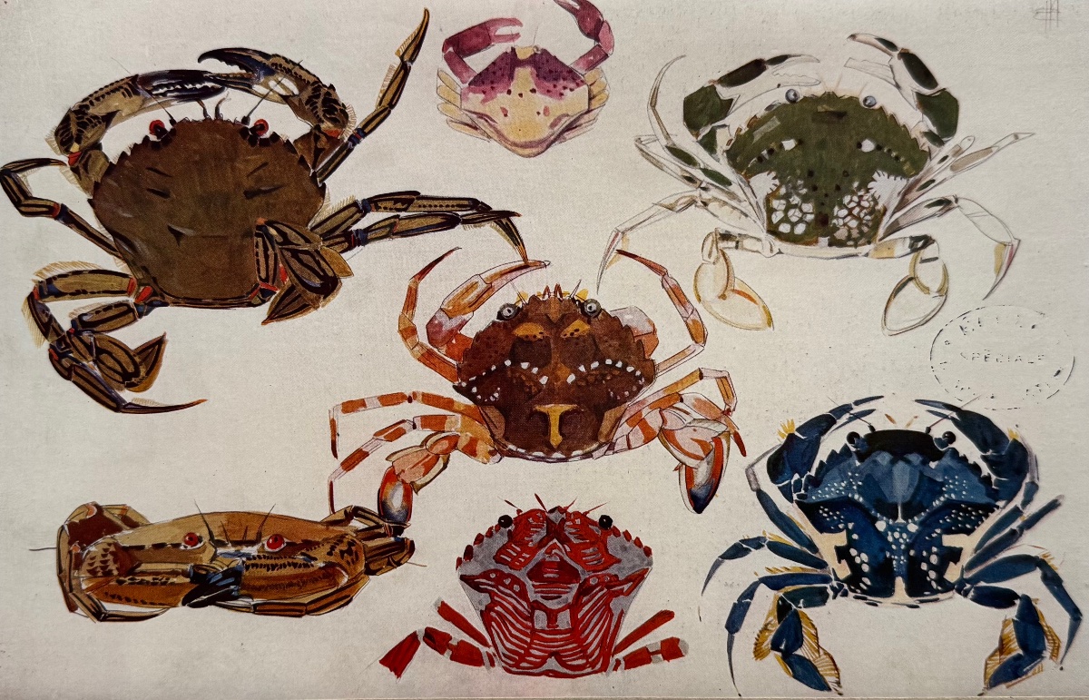 Etude De La Mer. Volume 2. Plate 7. 1913