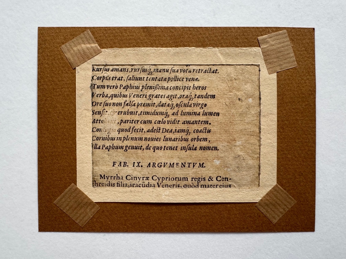 Métamorphoses d'Ovide. Myrrha veut se pendre. 16ème siècle-photo-3