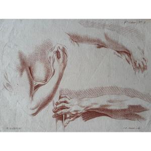 Study Of An Arm. C.1773