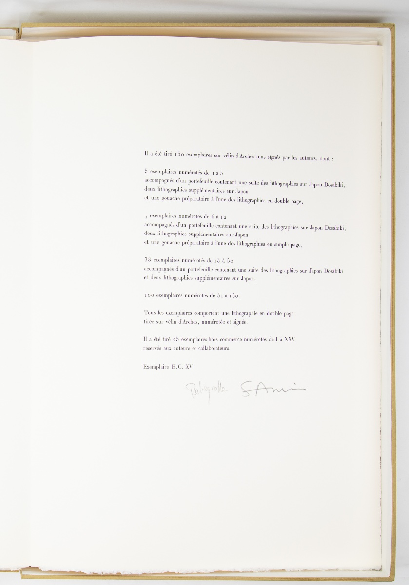 Paul Rebeyrolle - 26 Lithographs, 16 Signed - Maeght-photo-4