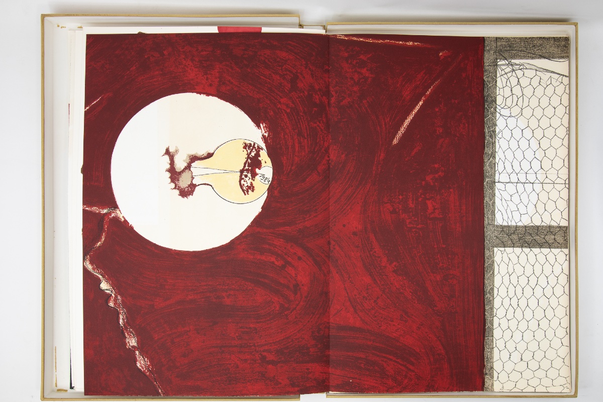 Paul Rebeyrolle - 26 Lithographs, 16 Signed - Maeght-photo-7