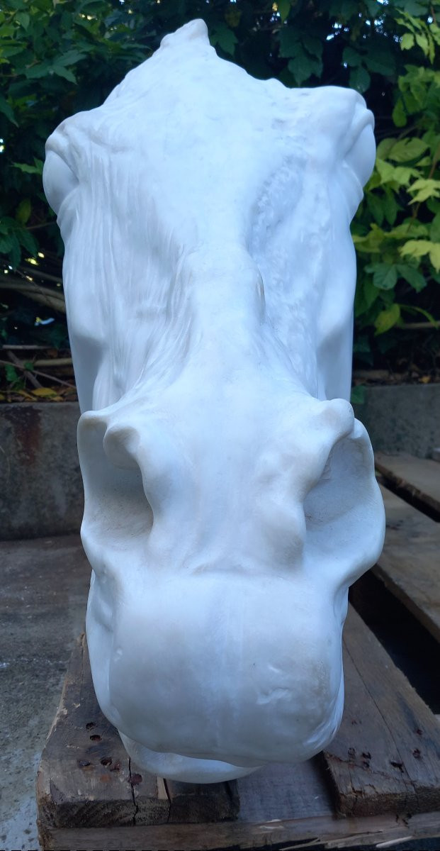 The Quadriga Of Selene - Monumental Suite Of 4 Horse Heads From The "parthénon" By Phidias-photo-4
