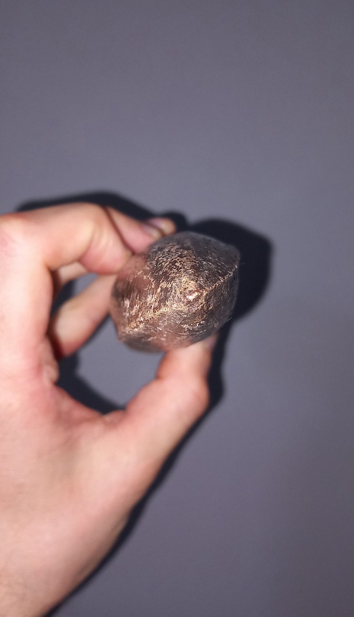 Fossil Spinosaurus Tooth – Upper Cretaceous Period-photo-4