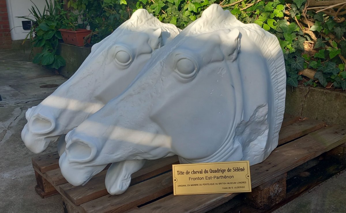 Horse Head From The Quadriga Of Selene – Parthenon – G. Ulderigo Workshop – Marble-photo-3