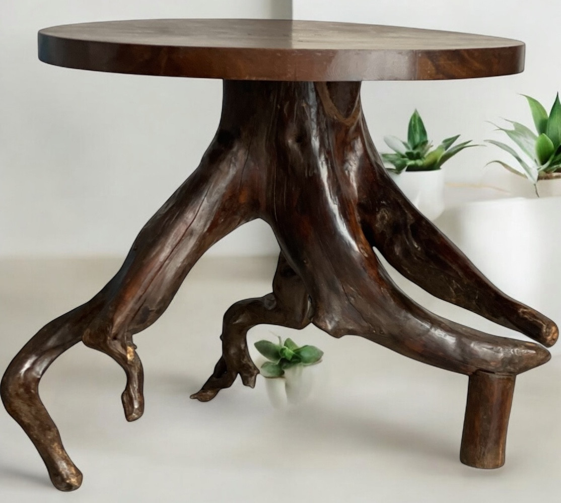 Natural Root Side Table, Organic Design, 20th Century-photo-2
