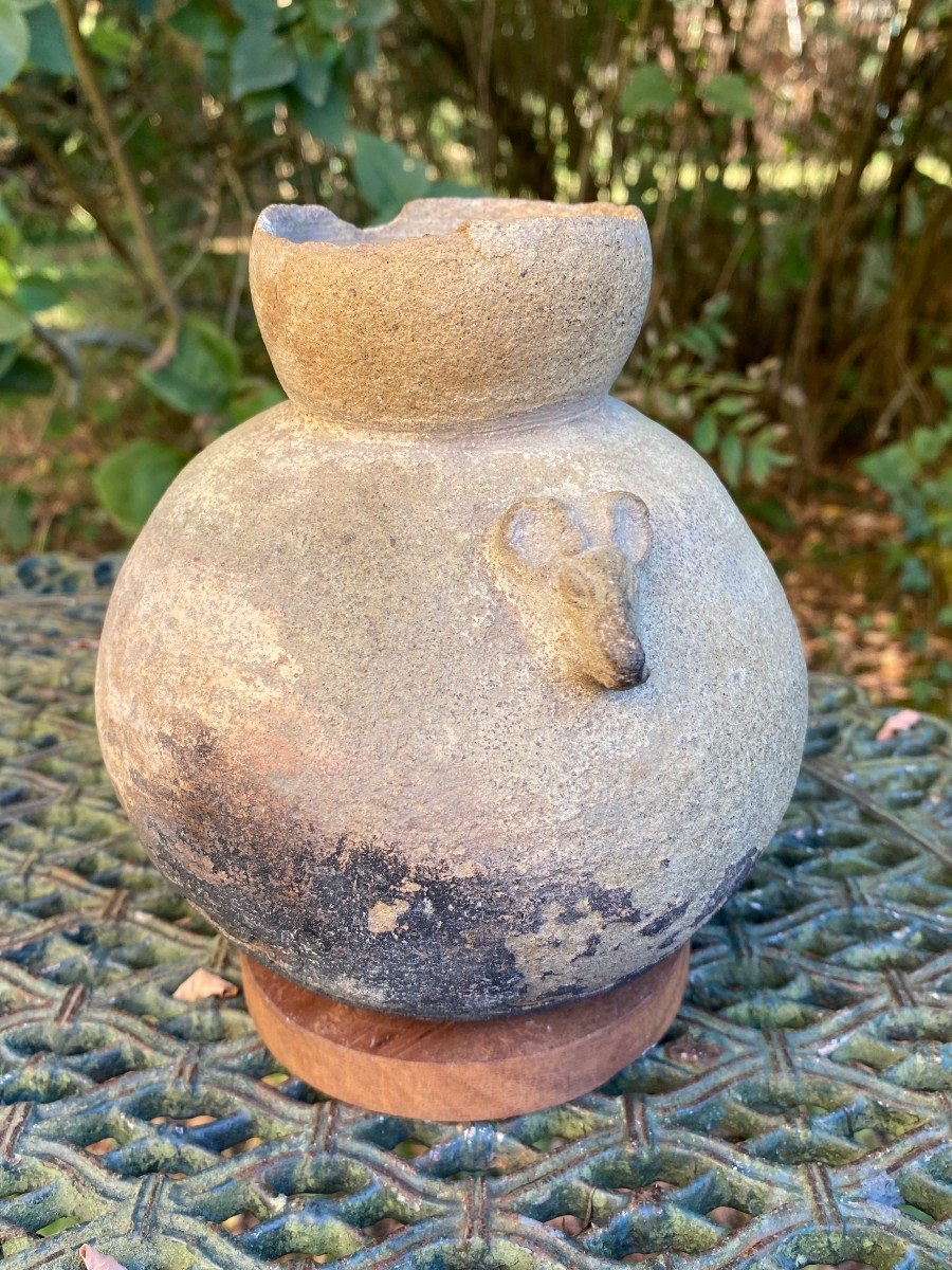 Mouse Pitcher Vase & Pre-columbian Art & Peru-photo-4