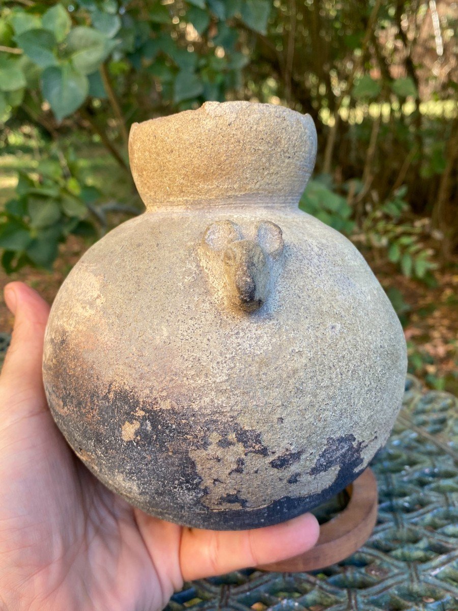 Mouse Pitcher Vase & Pre-columbian Art & Peru-photo-2