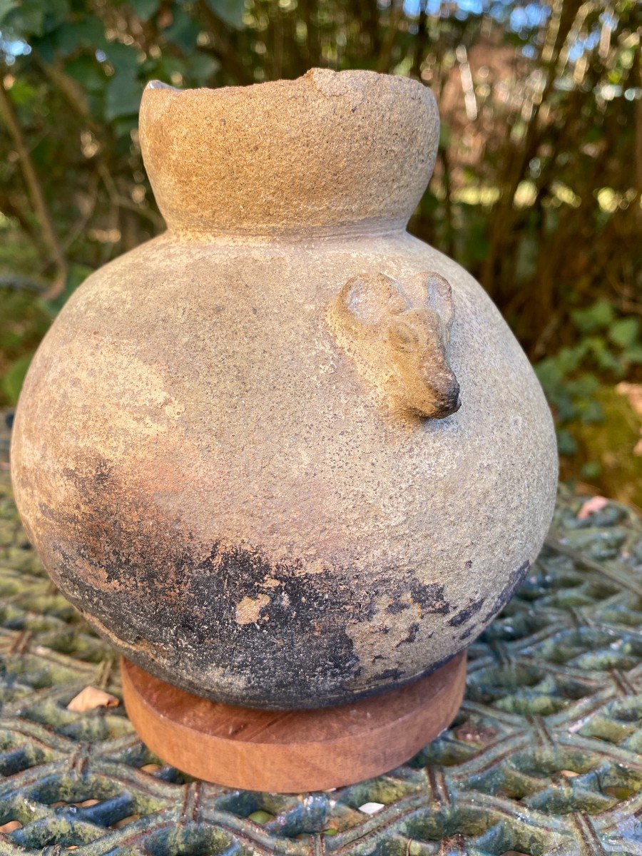Mouse Pitcher Vase & Pre-columbian Art & Peru