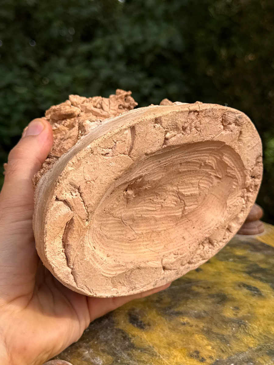 Sculpture en terre cuite naturaliste, oiseau dans son nid. -photo-4