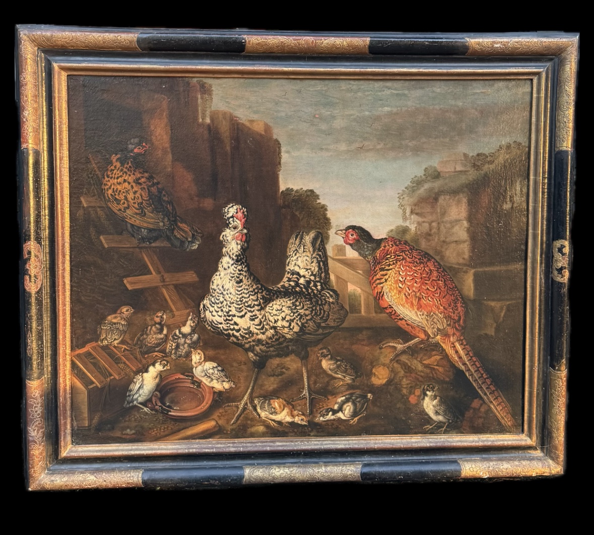 Coq dominant le poulailler 