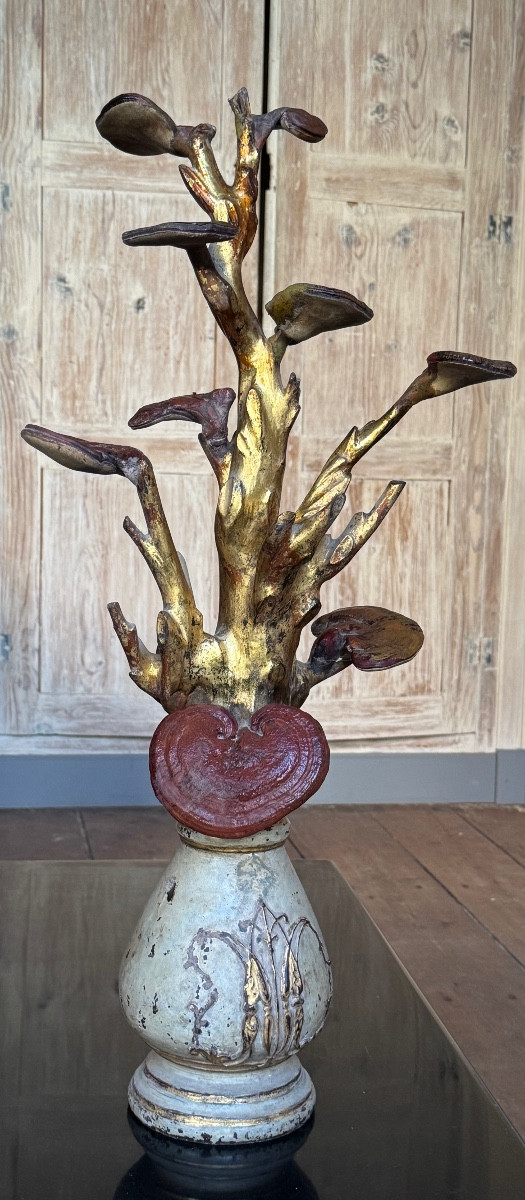 Arbre aux champignons de l’immortalité