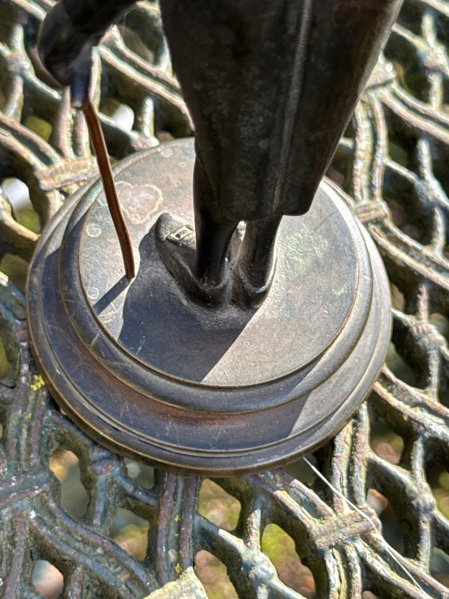 Caricature d’un Médecin à tête d’oiseau et au clystère-photo-2