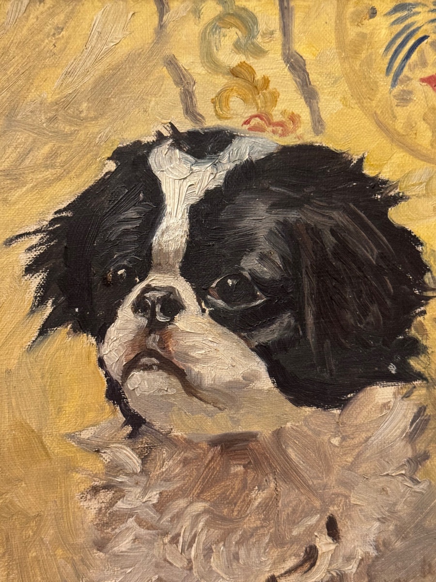 Portrait de chien japonais -photo-2