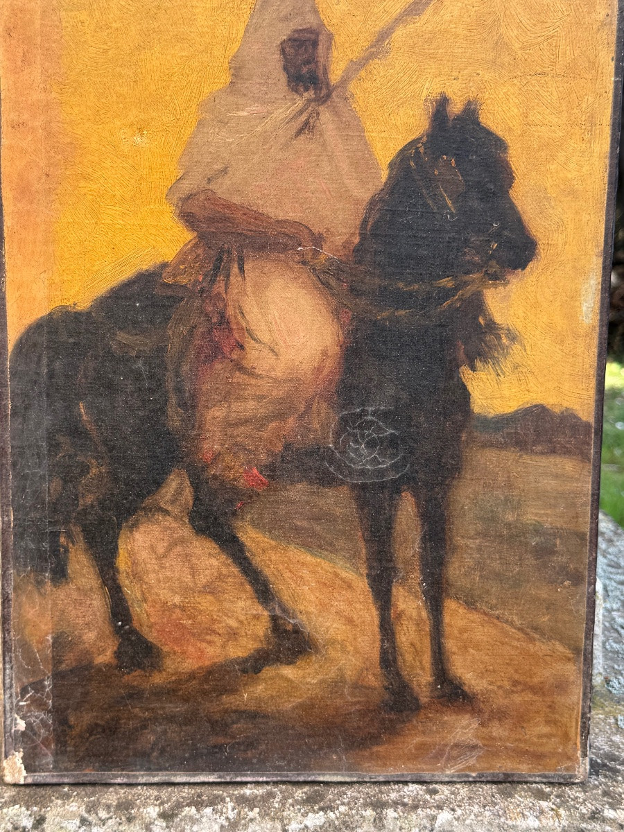 Cavalier Oriental -photo-4