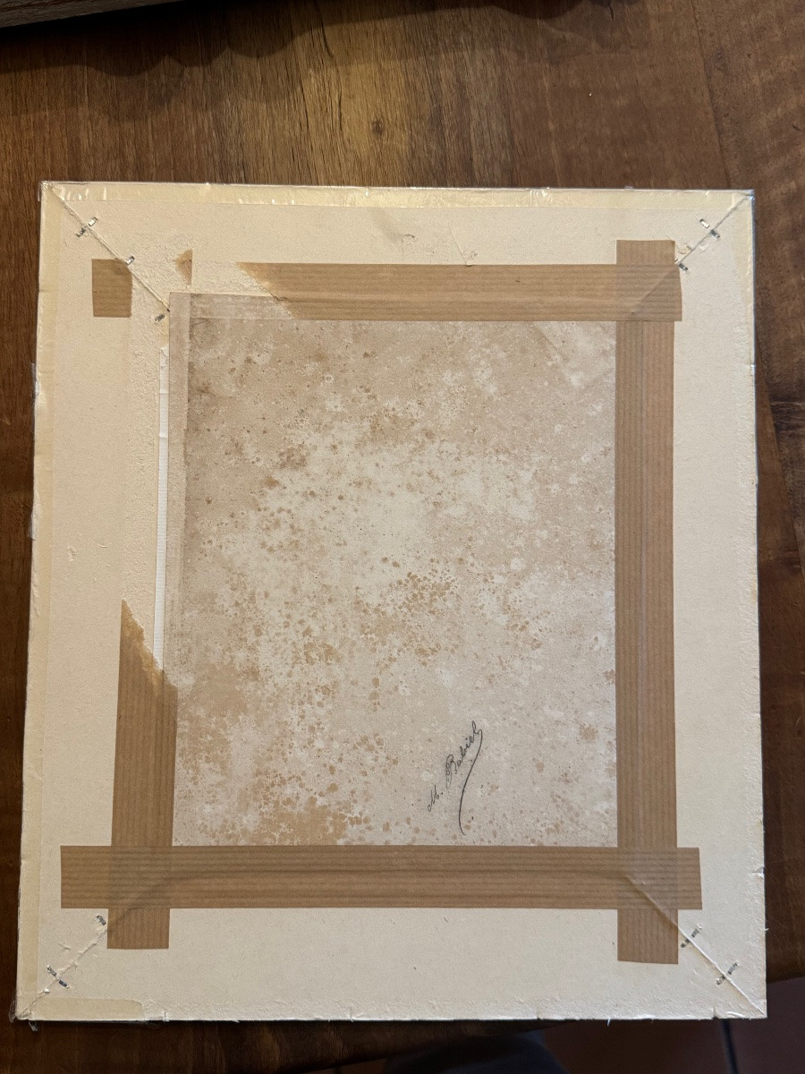 Portrait Of Diane, Profile Of A Young Woman-photo-2