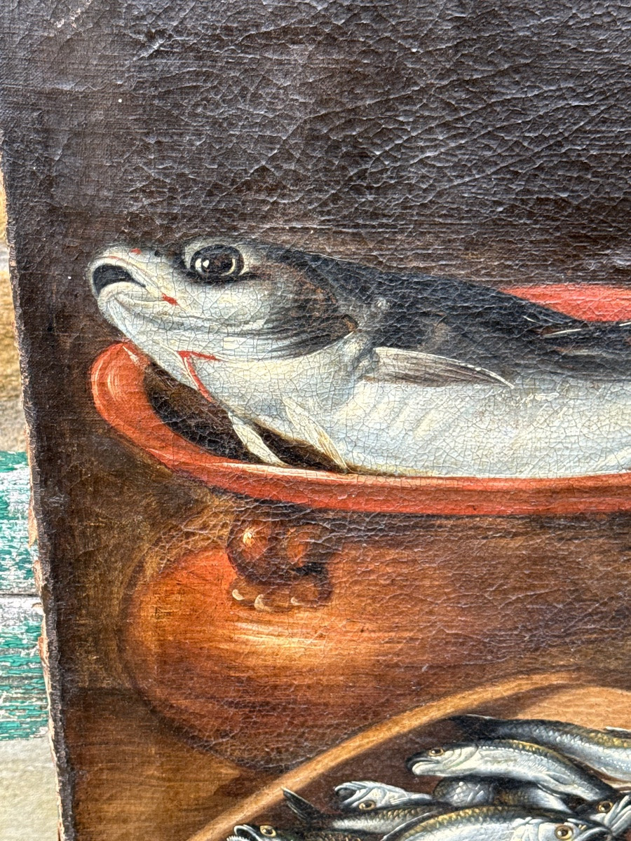 Still Life With Fish-photo-3