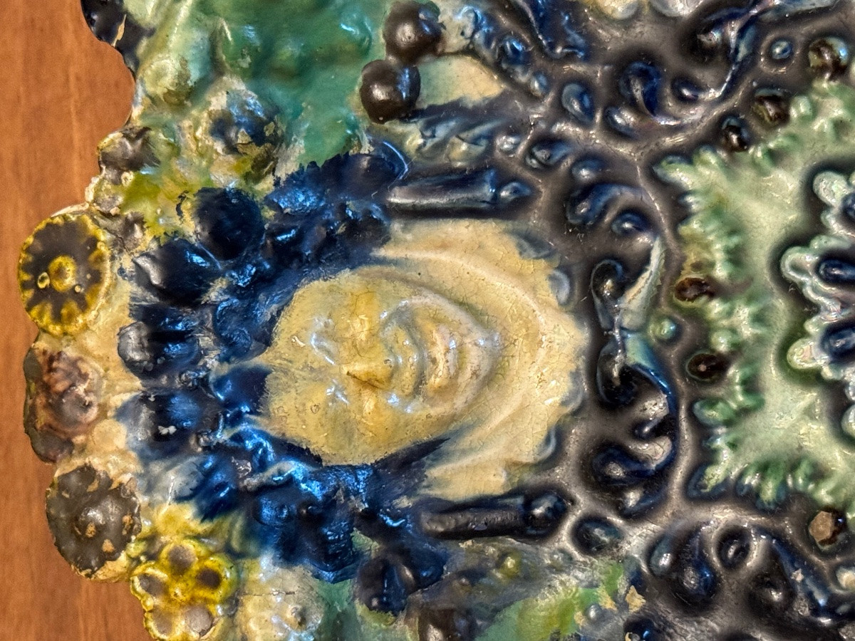 Ceramic Dish, Palissy Suite - Pré d'Auge / Vallée d'Auge-photo-4