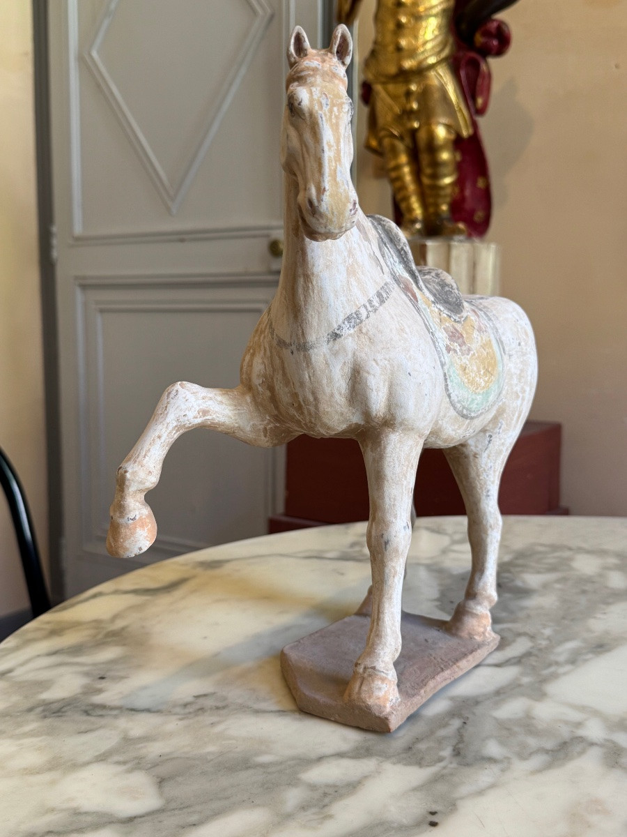 Cheval en terre cuite polychrome - Chine - Époque Tang-photo-2