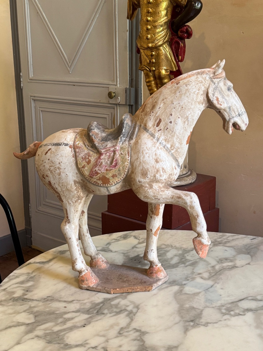 CHEVAL EN TERRE CUITE POLYCHROME - CHINE - ÉPOQUE TANG-photo-3
