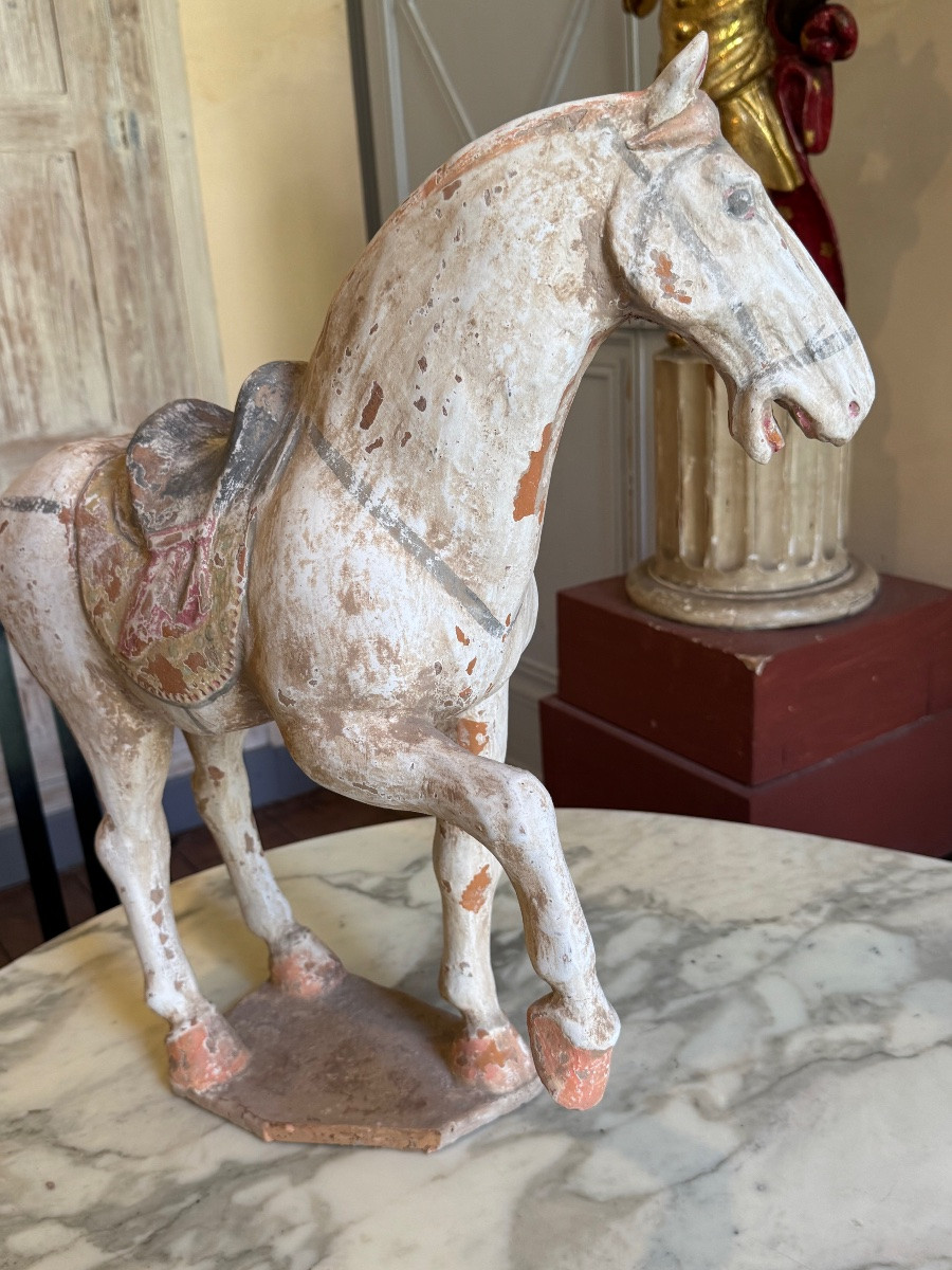 CHEVAL EN TERRE CUITE POLYCHROME - CHINE - ÉPOQUE TANG-photo-2