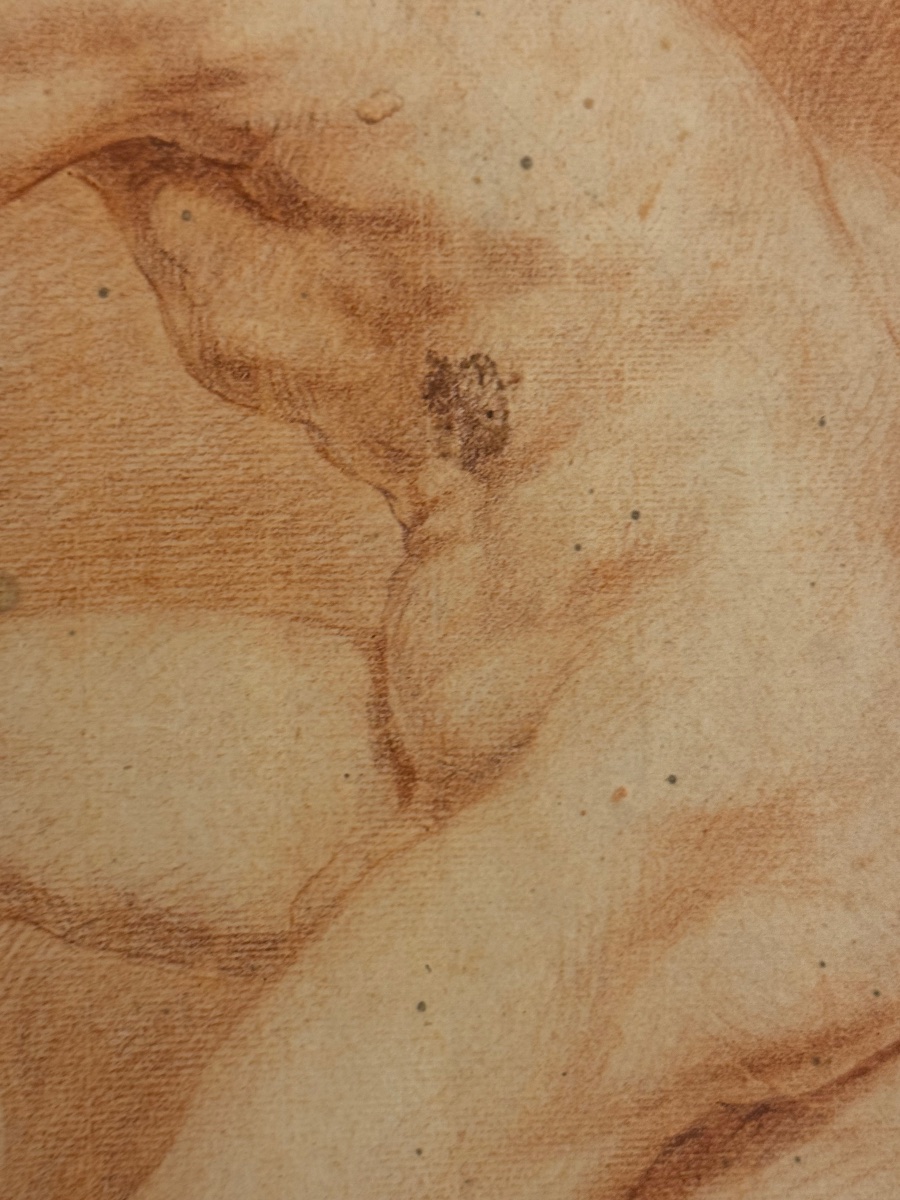 Académie de nu masculin – Sanguine du XVIIIe siècle-photo-2