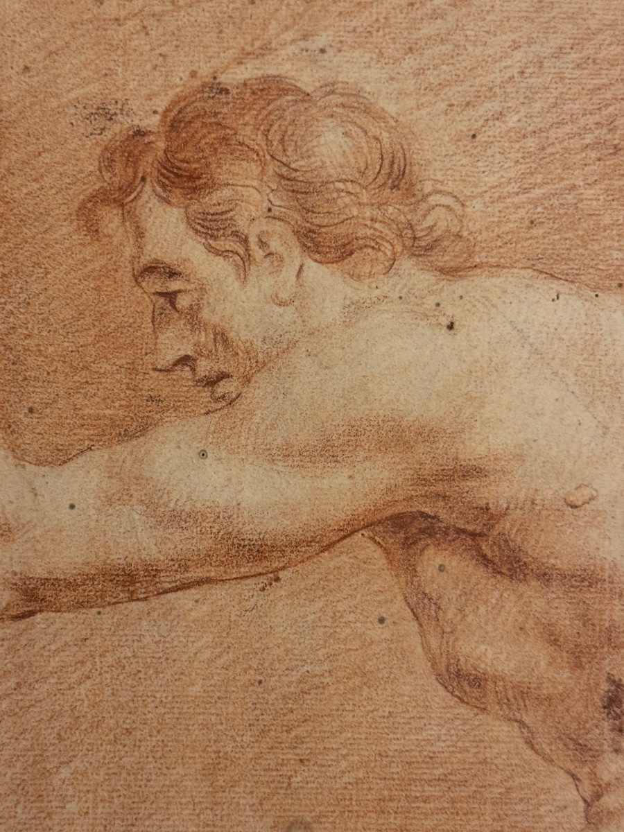 Académie de nu masculin – Sanguine du XVIIIe siècle-photo-3