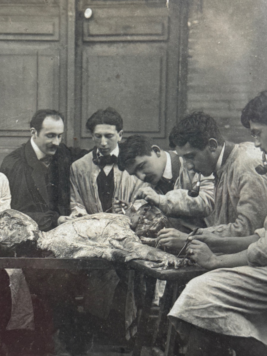 Séance de dissection anatomique