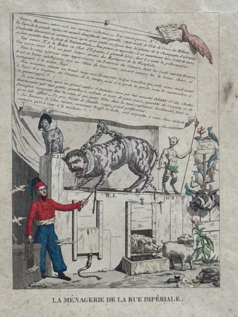 La Chute de Napoléon et du Premier Empire-photo-5