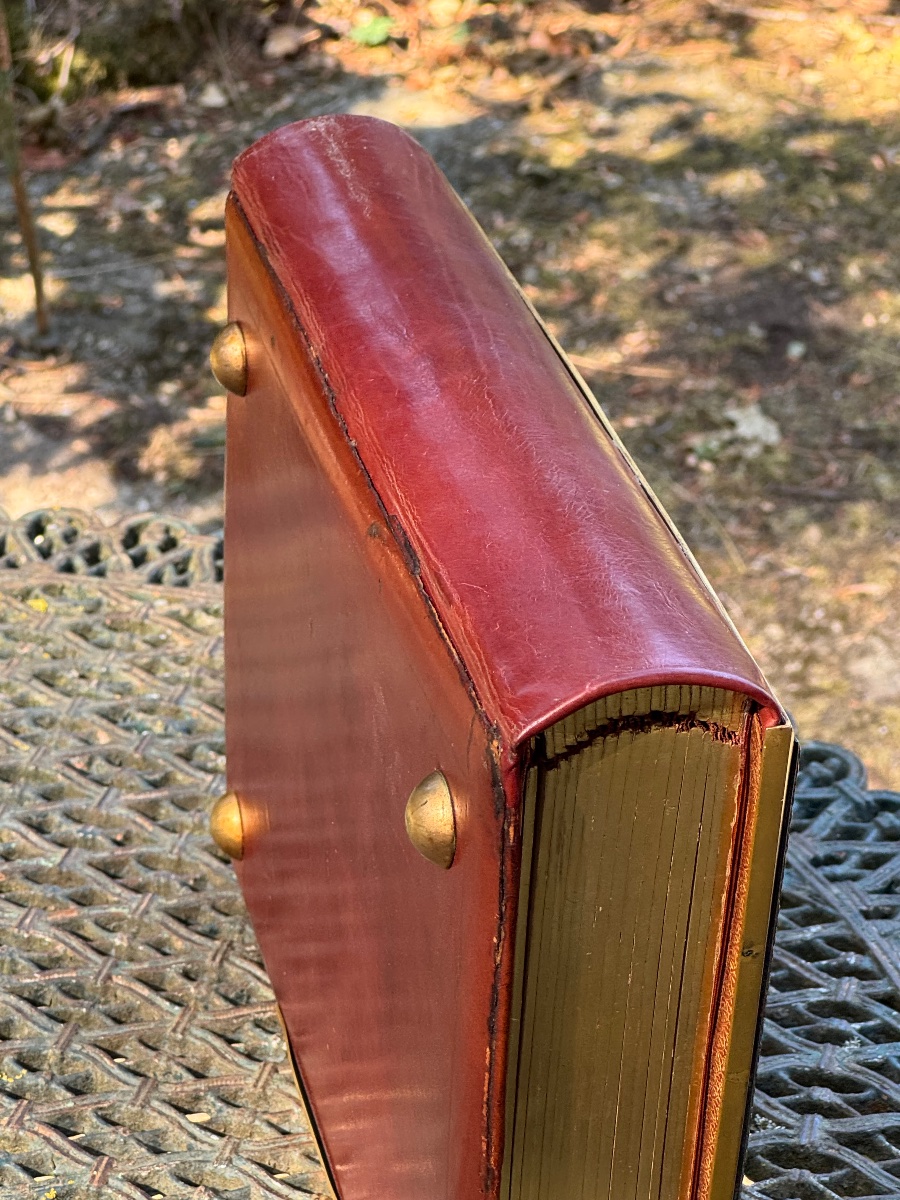 Leather And Gilded Bronze Photo Album-photo-4