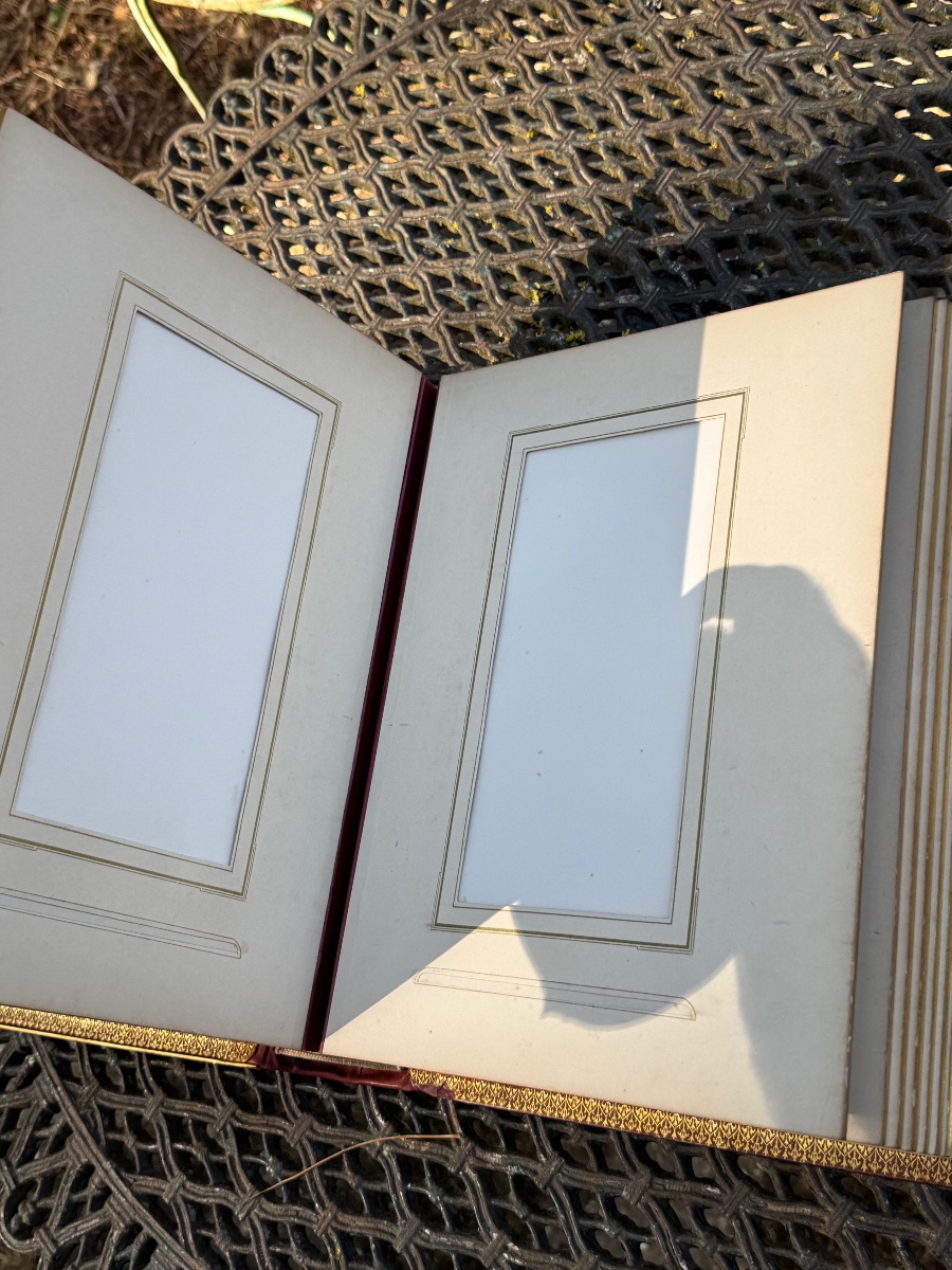 Leather And Gilded Bronze Photo Album-photo-1