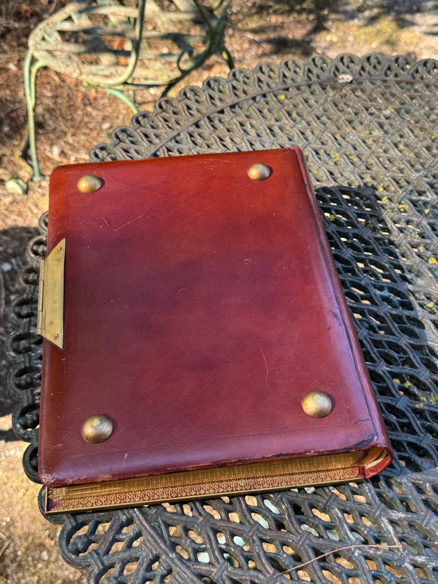Leather And Gilded Bronze Photo Album-photo-4