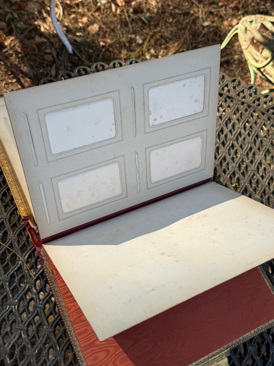 Leather And Gilded Bronze Photo Album-photo-5