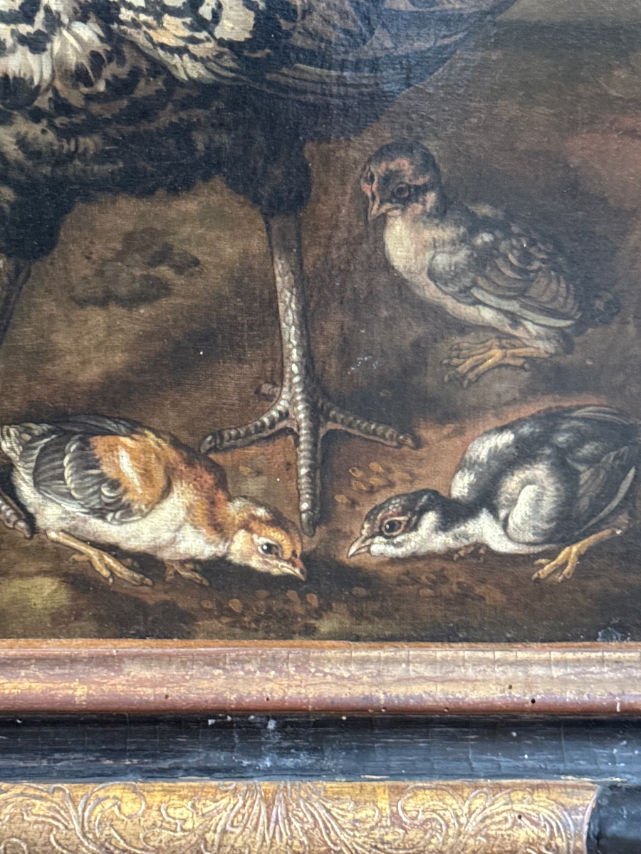 Jacobus Victors (1640-1705) Scène de basse-cour-photo-3