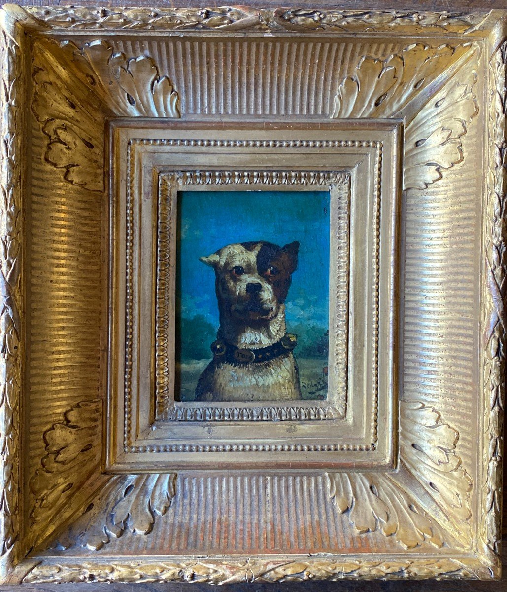 Theodore Levigne 1848 - 1912  Portrait de Chien - Tom -photo-4