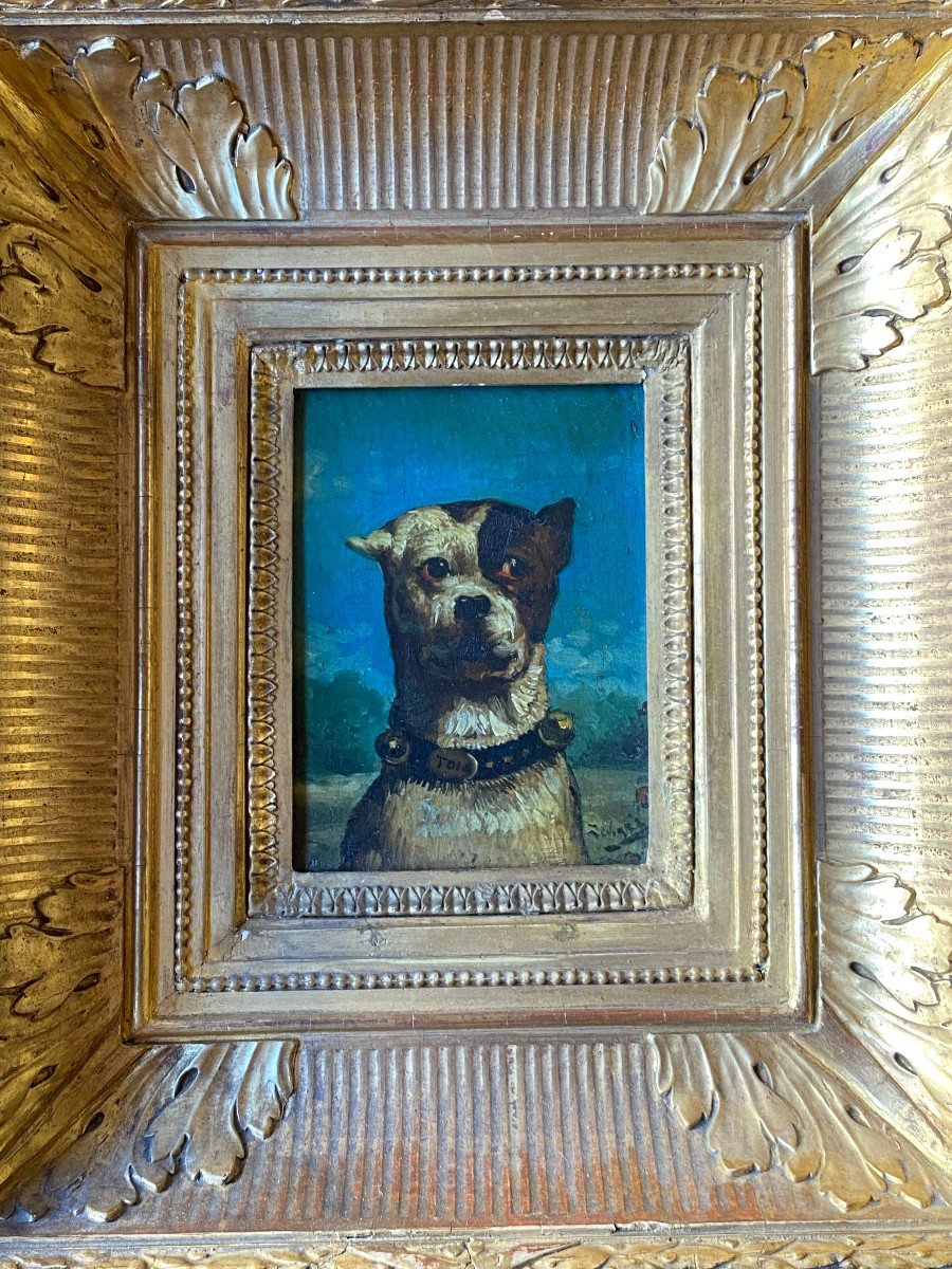 Theodore Levigne 1848 - 1912  Portrait de Chien - Tom 